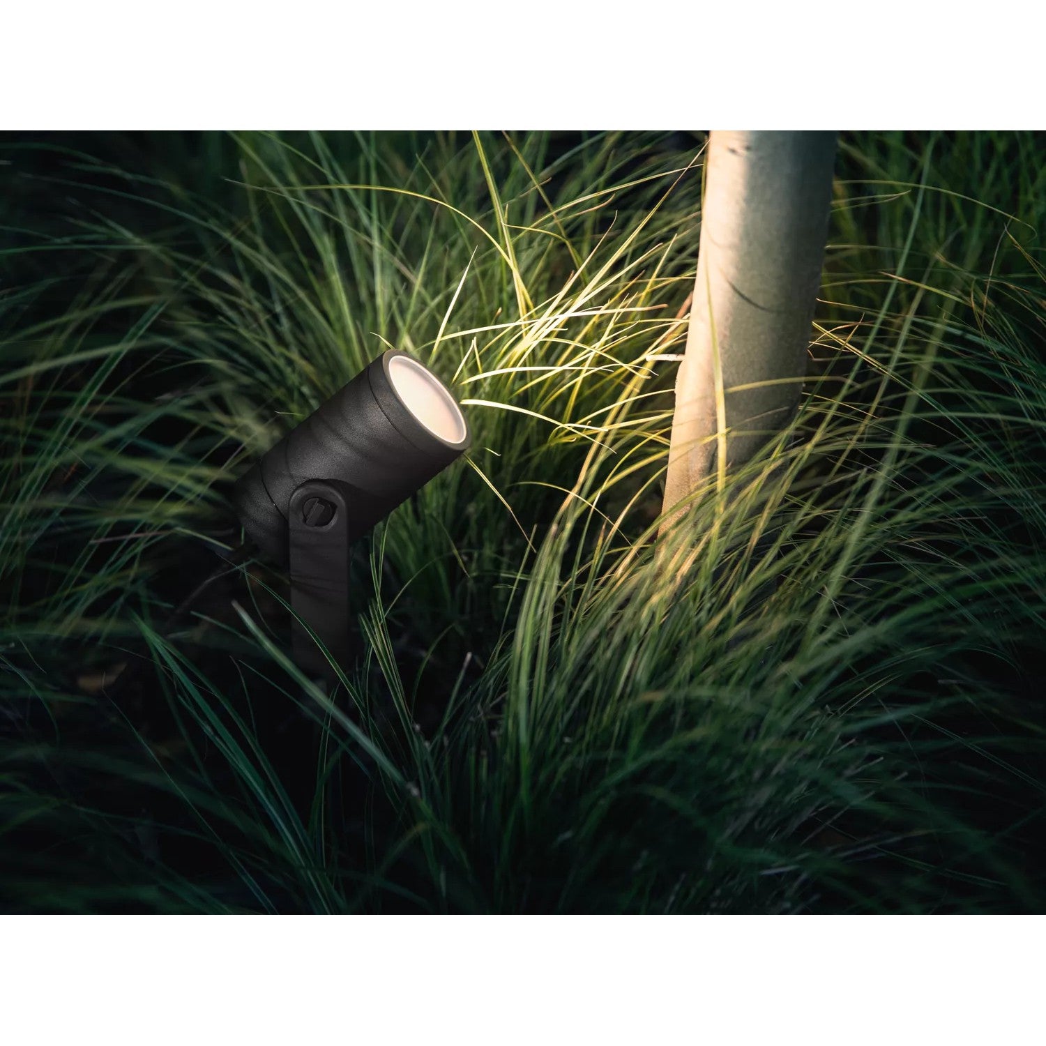 Philips Hue White & Color Ambiance Lily Spot 3 flg. Schwarz 3640lm Basis