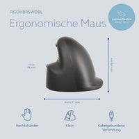 R-Go Tools RGOHBRSWDBL Maus Rechts Optisch 2400 DPI