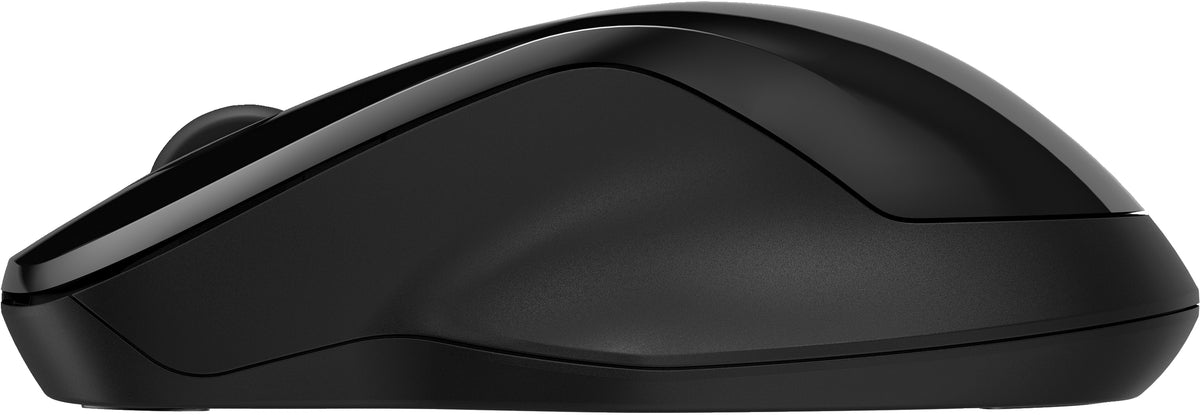 HP 250 Dual-Maus