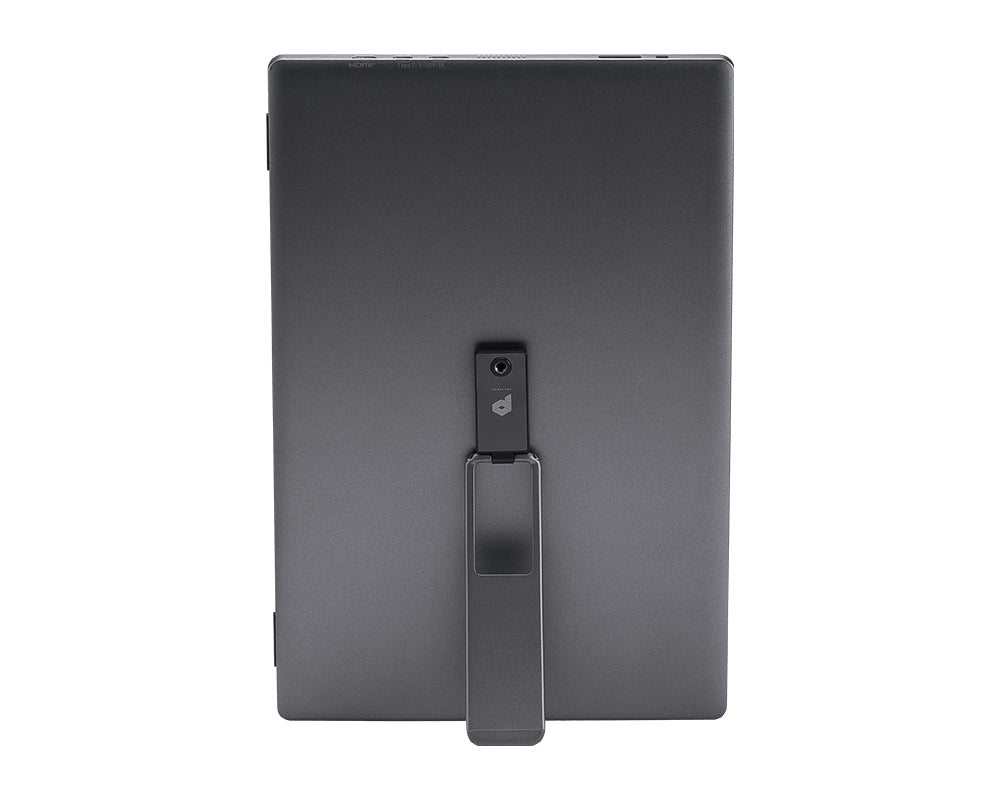 MSI PRO MP161DE E2 Computerbildschirm 39,6 cm (15.6") 1920 x 1080 Pixel Full HD LED Schwarz