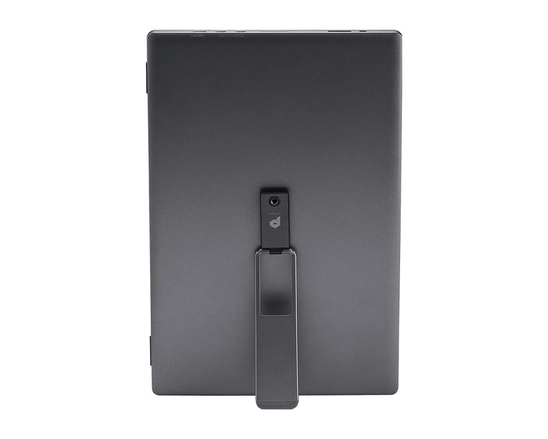 MSI PRO MP161DE E2 Computerbildschirm 39,6 cm (15.6") 1920 x 1080 Pixel Full HD LED Schwarz