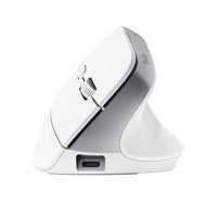 Trust Bayo+ Maus Büro rechts RF Wireless + Bluetooth Optisch 2400 DPI