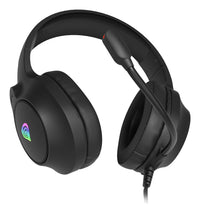 GENESIS NEON 213