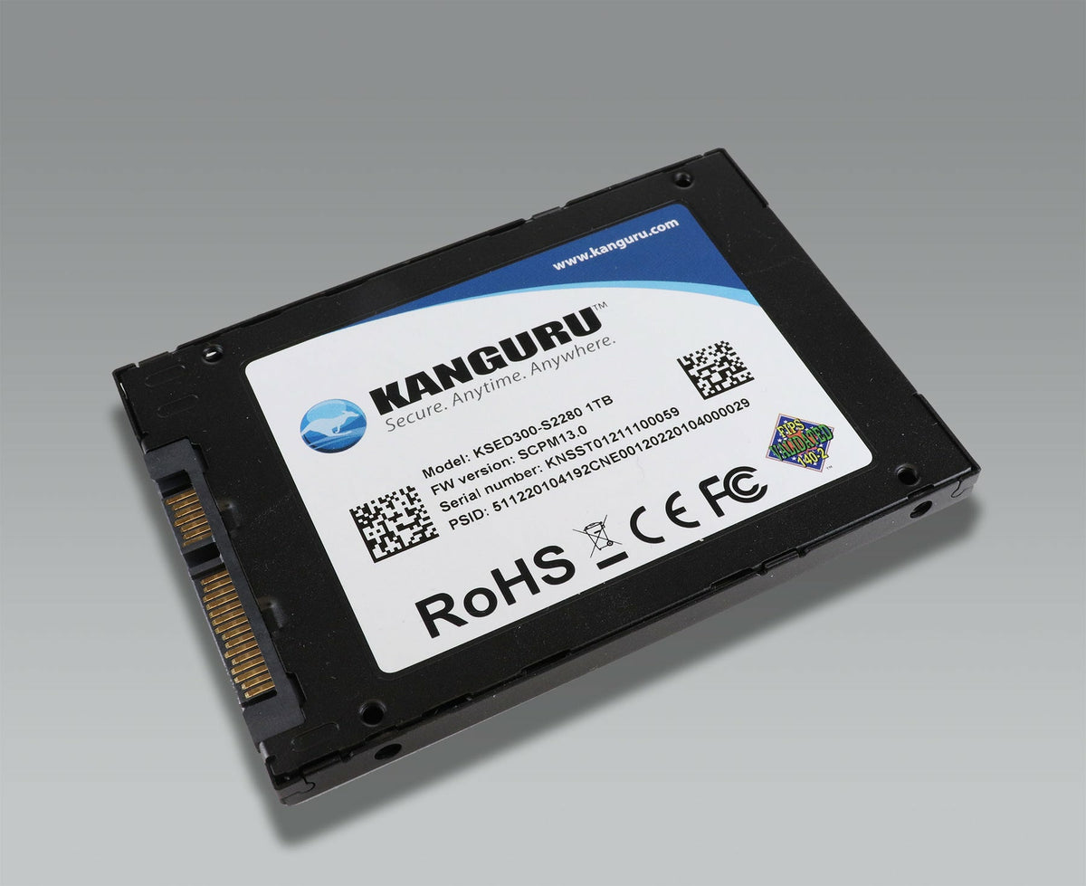 iStorage Kanguru SED300 1 TB 2.5" SATA 3D TLC