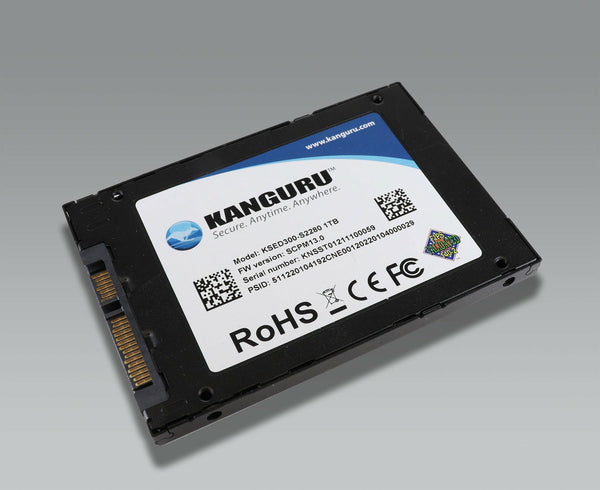 iStorage Kanguru SED300 2 TB 2.5" SATA 3D TLC