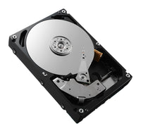 DELL 161-BBFL Interne Festplatte 8 TB 7200 RPM 3.5" Serial ATA III