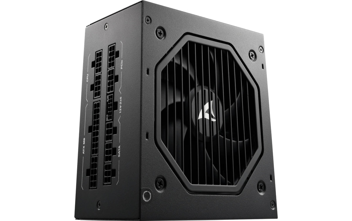 SHARKOON Rebel P20 Black 850W Fully Modular ATX