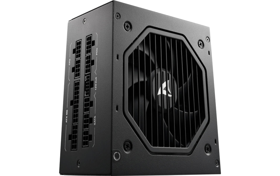 SHARKOON Rebel P20 1000 1000W Completamente Modulare