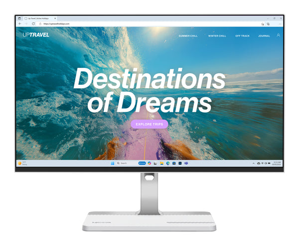 Lenovo L24D-4C Computerbildschirm 60,5 cm (23.8") 1920 x 1080 Pixel Full HD LCD Grau