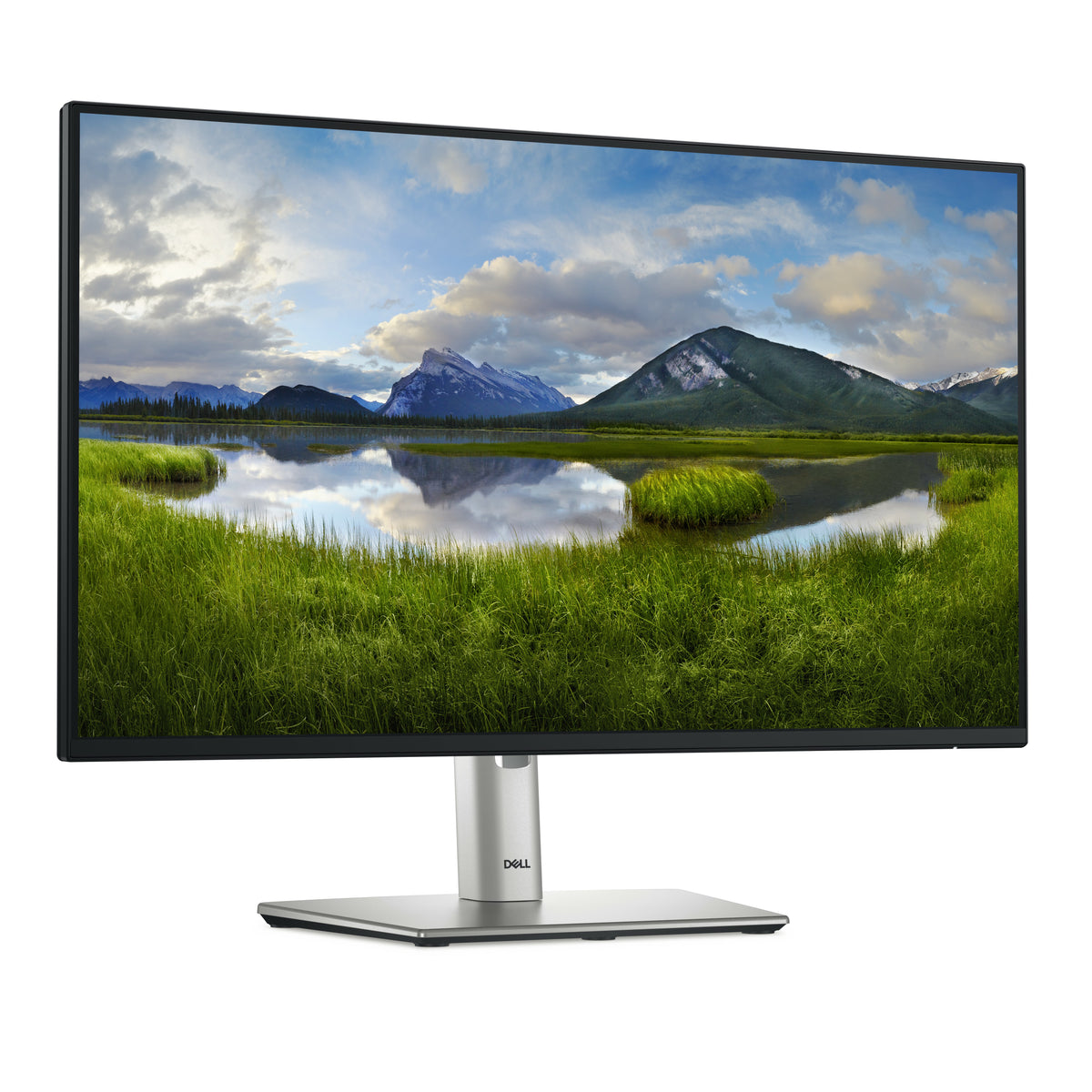 DELL Pro Plus P2425HE Computerbildschirm 60,5 cm (23.8") 1920 x 1080 Pixel Full HD LCD Schwarz