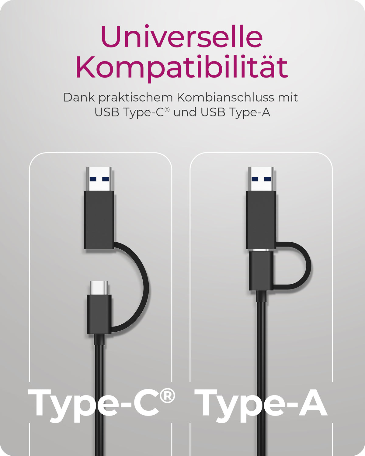ICY BOX IB-LAN301-C3, USB 3.2 Gen 1 Type-C®/Type-A zu 2.5 Gigabit Ethernet LAN Adapter, Anthrazit