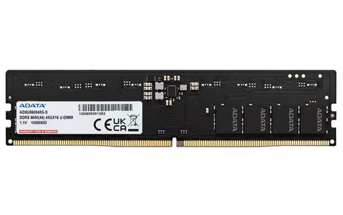Adata DDR5 48GB 5600MT/s