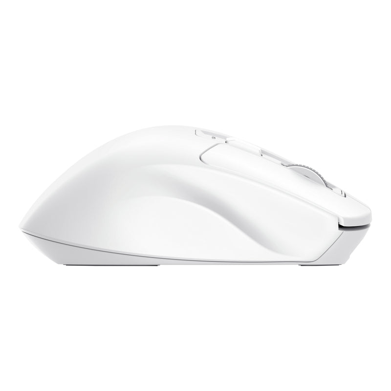 Trust Niven Maus Büro rechts RF Wireless + Bluetooth 3200 DPI