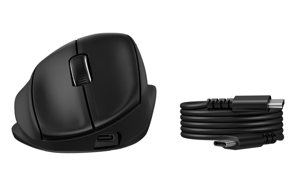 HP Angled Ergonomic Mouse 725M
