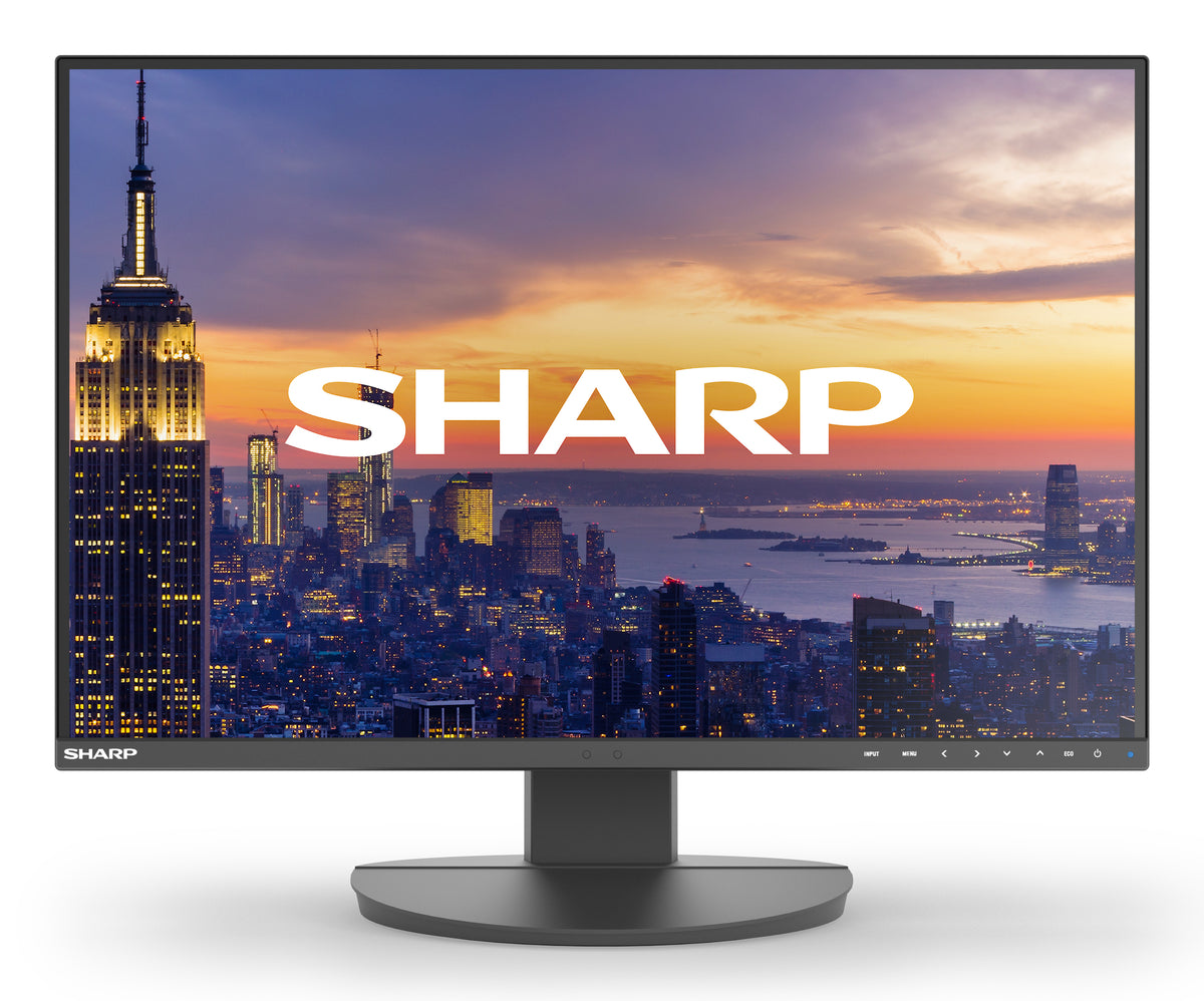 Sharp MultiSync EA242W Computerbildschirm 61 cm (24") 1920 x 1200 Pixel Full HD LCD Schwarz