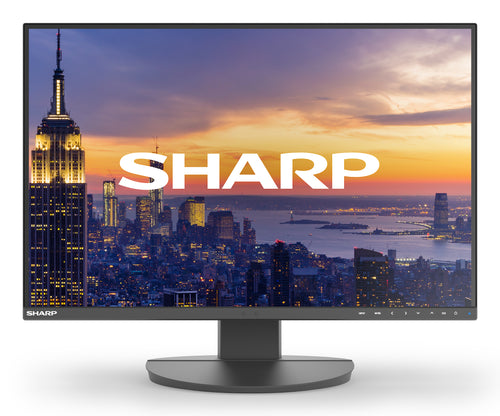 Sharp MultiSync EA242W Computerbildschirm 61 cm (24") 1920 x 1200 Pixel Full HD LCD Schwarz