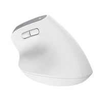 Trust Bayo+ Maus Büro rechts RF Wireless + Bluetooth Optisch 2400 DPI