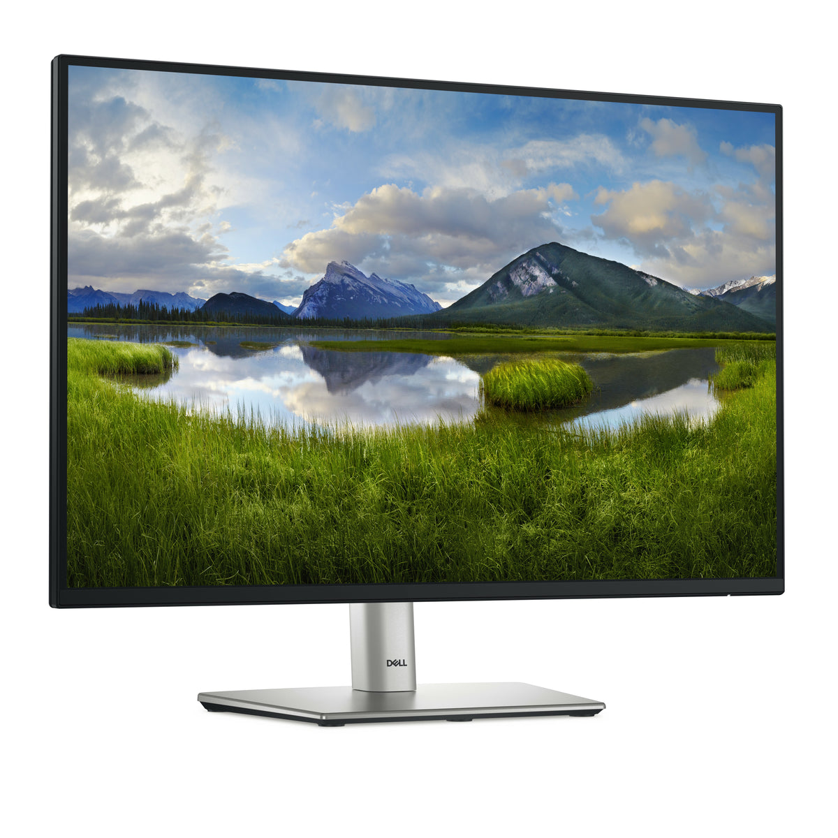DELL Pro Plus P2425 Computerbildschirm 61,1 cm (24.1") 1920 x 1200 Pixel WUXGA LCD Schwarz