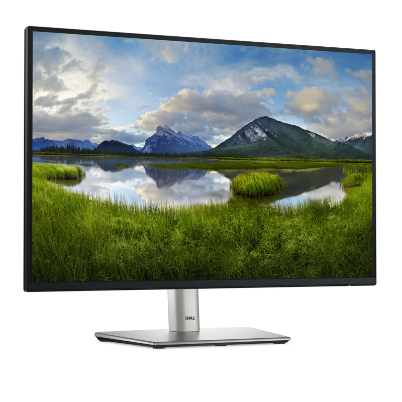 DELL Pro Plus P2425E Computerbildschirm 61,1 cm (24.1") 1920 x 1200 Pixel WUXGA LCD Schwarz