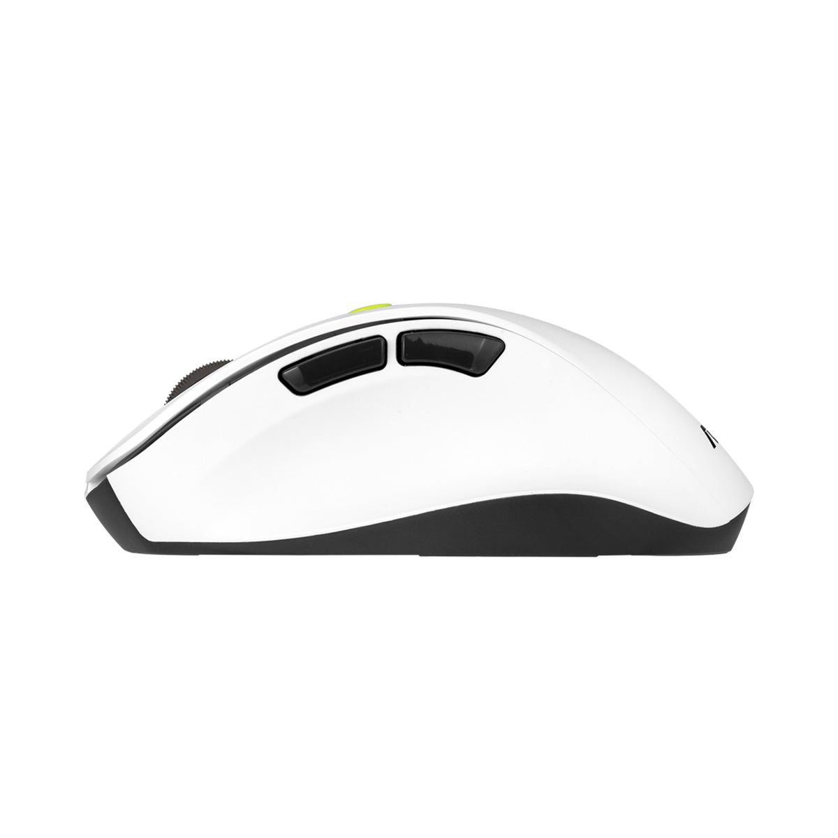 ASUS MD105 MOUSE/VT-GN Maus Universal Rechts RF Wireless + Bluetooth 2400 DPI