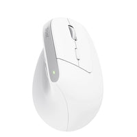 Trust Bayo+ Maus Büro rechts RF Wireless + Bluetooth Optisch 2400 DPI