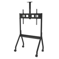 Peerless Paramount 190,5 cm (75") Flur Schwarz