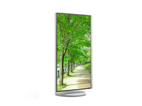 Sharp MultiSync EA272U Computerbildschirm 68,6 cm (27") 3840 x 2160 Pixel 4K Ultra HD LCD Weiß