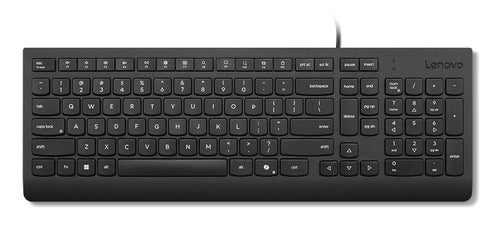 Lenovo 4Y41R64667 Tastatur Heimbüro USB Französisch, Deutsch Schwarz
