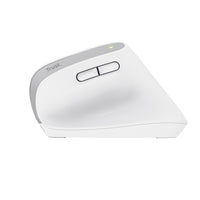 Trust Bayo+ Maus Büro rechts RF Wireless + Bluetooth Optisch 2400 DPI