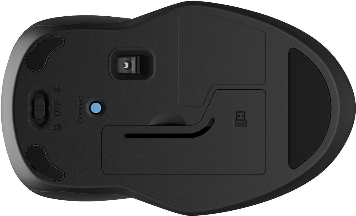 HP 250 Dual-Maus