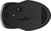 HP 250 Dual-Maus
