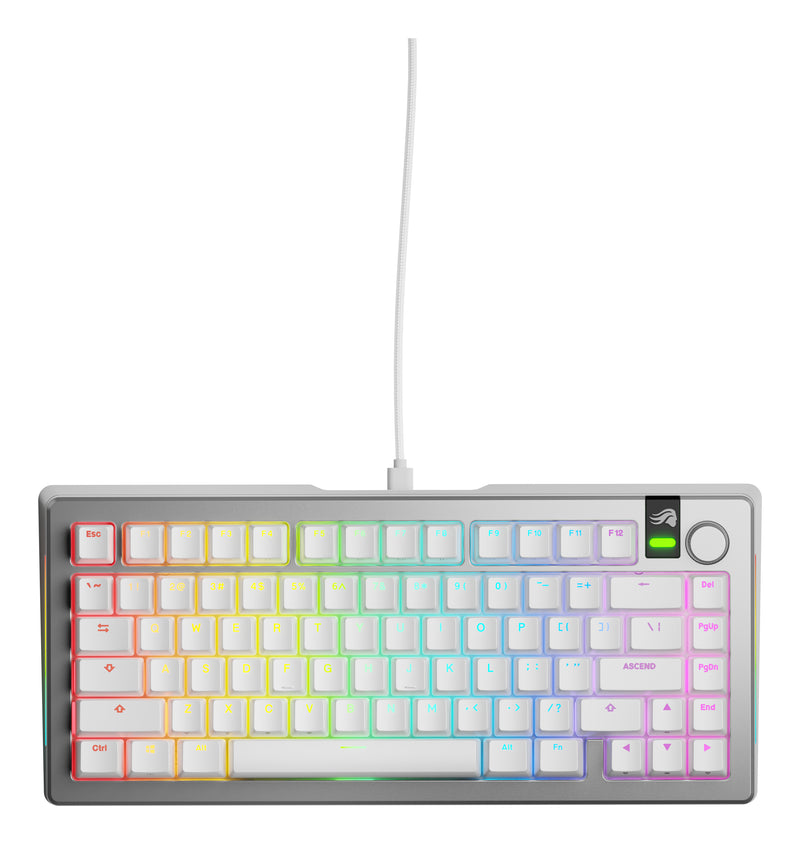 Glorious Gaming GMMK 3 PRO 75% Prebuilt Tastatur USB QWERTY US Englisch Silber