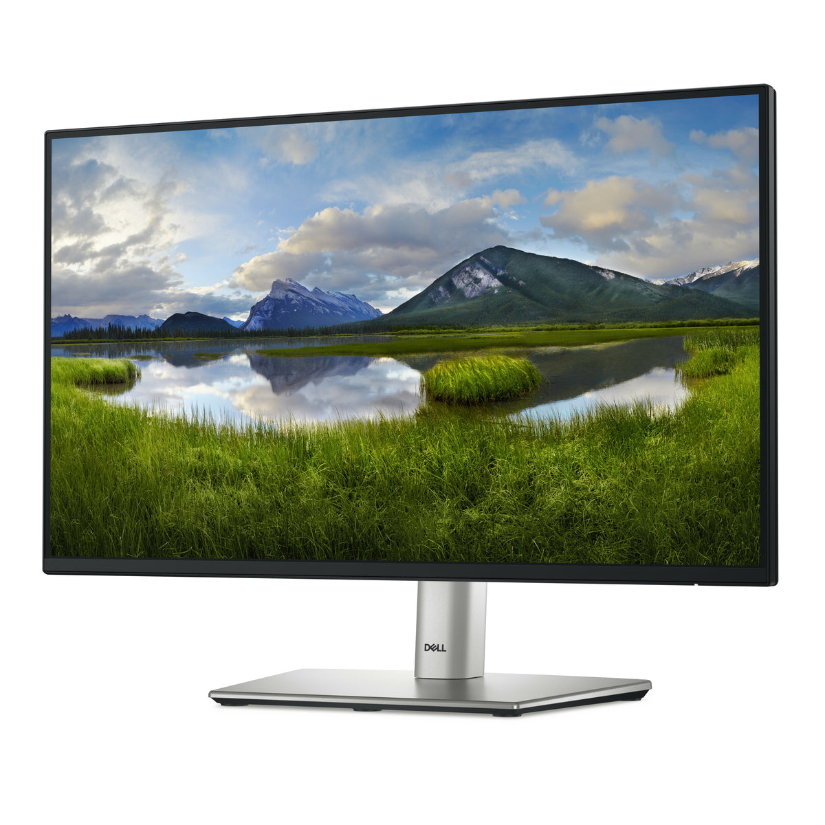 DELL P Series P2225H Computerbildschirm 54,6 cm (21.5") 1920 x 1080 Pixel Full HD LCD Schwarz, Silber
