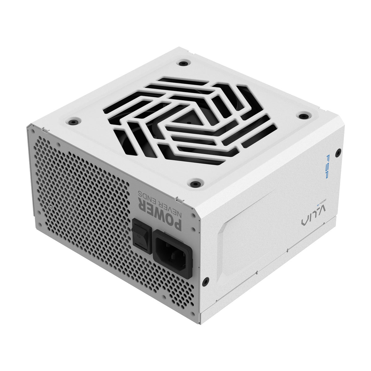 FSP VITA GM 850W White Netzteil ATX ATX3.1 Weiß