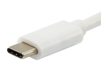 Equip USB-C auf VGA (HD15), USB-A, 60W USB PD Adapter