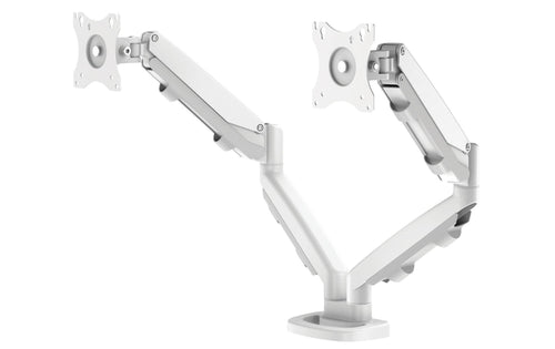 Fellowes Doppel-Monitorarm ESI Eppa