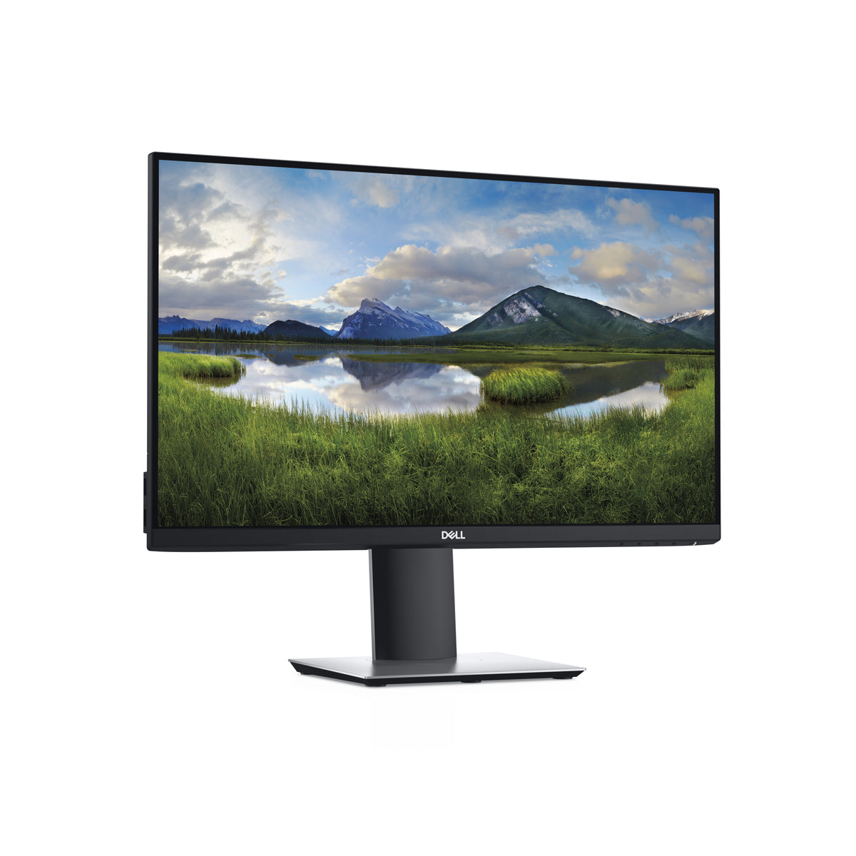 Écran d'ordinateur DELL P2419H 61 cm (24") 1920 x 1080 pixels Full HD LCD Noir