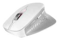 CHERRY JW-8550-0 Maus Universal rechts RF Wireless Optisch 4000 DPI