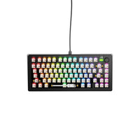 Glorious Gaming GMMK 3 75% Barebones Tastatur USB Nein Schwarz