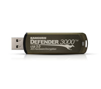 iStorage Kanguru Defender 3000 USB-Stick 256 GB USB Typ-C 3.2 Gen 1 (3.1 Gen 1) Grau