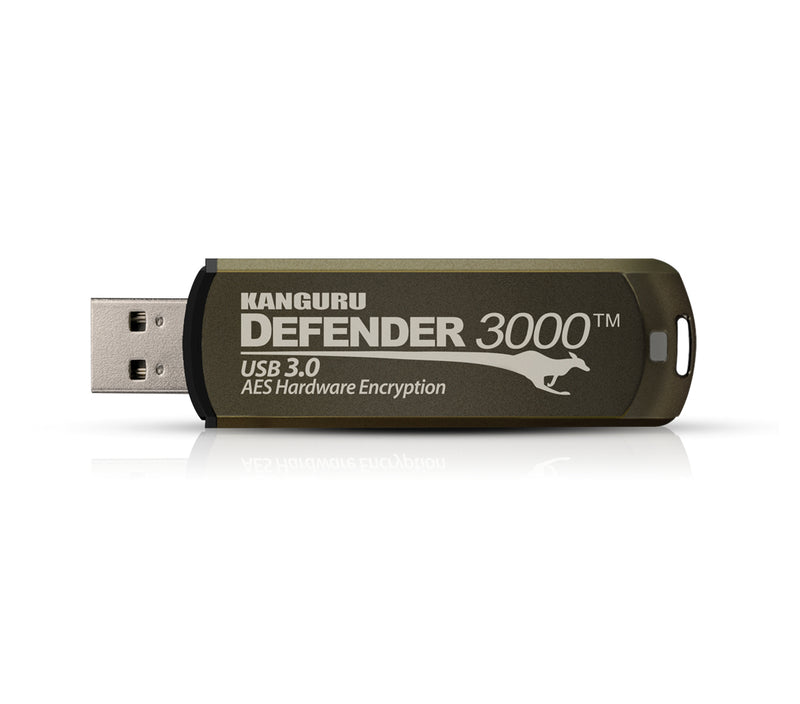 iStorage Kanguru Defender 3000 USB-Stick 256 GB USB Typ-C 3.2 Gen 1 (3.1 Gen 1) Grau