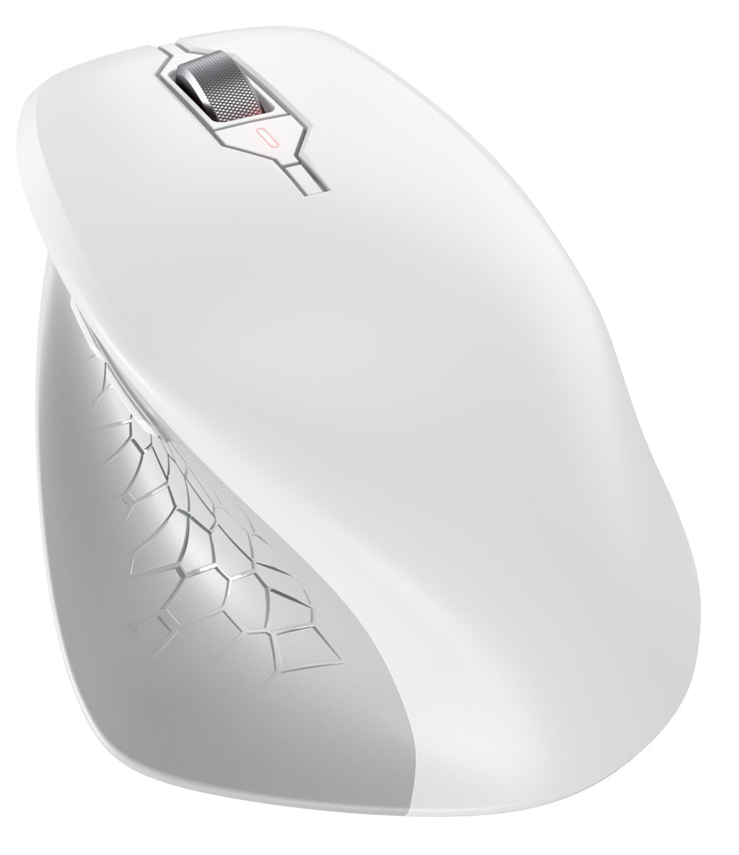 CHERRY JW-8550-0 Maus Universal rechts RF Wireless Optisch 4000 DPI