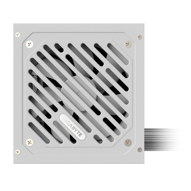 GIGABYTE P650SS ICE Netzteil - PCIe 5.0, 80 PLUS Silver, 120-mm-Lüfter, ATX 3.0 kompatibel, EU-Stecker