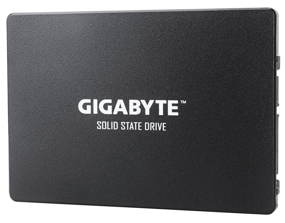 GIGABYTE GP-GSTFS31256GTND Internes Solid State Drive 256 GB 2.5" Serial ATA III V-NAND