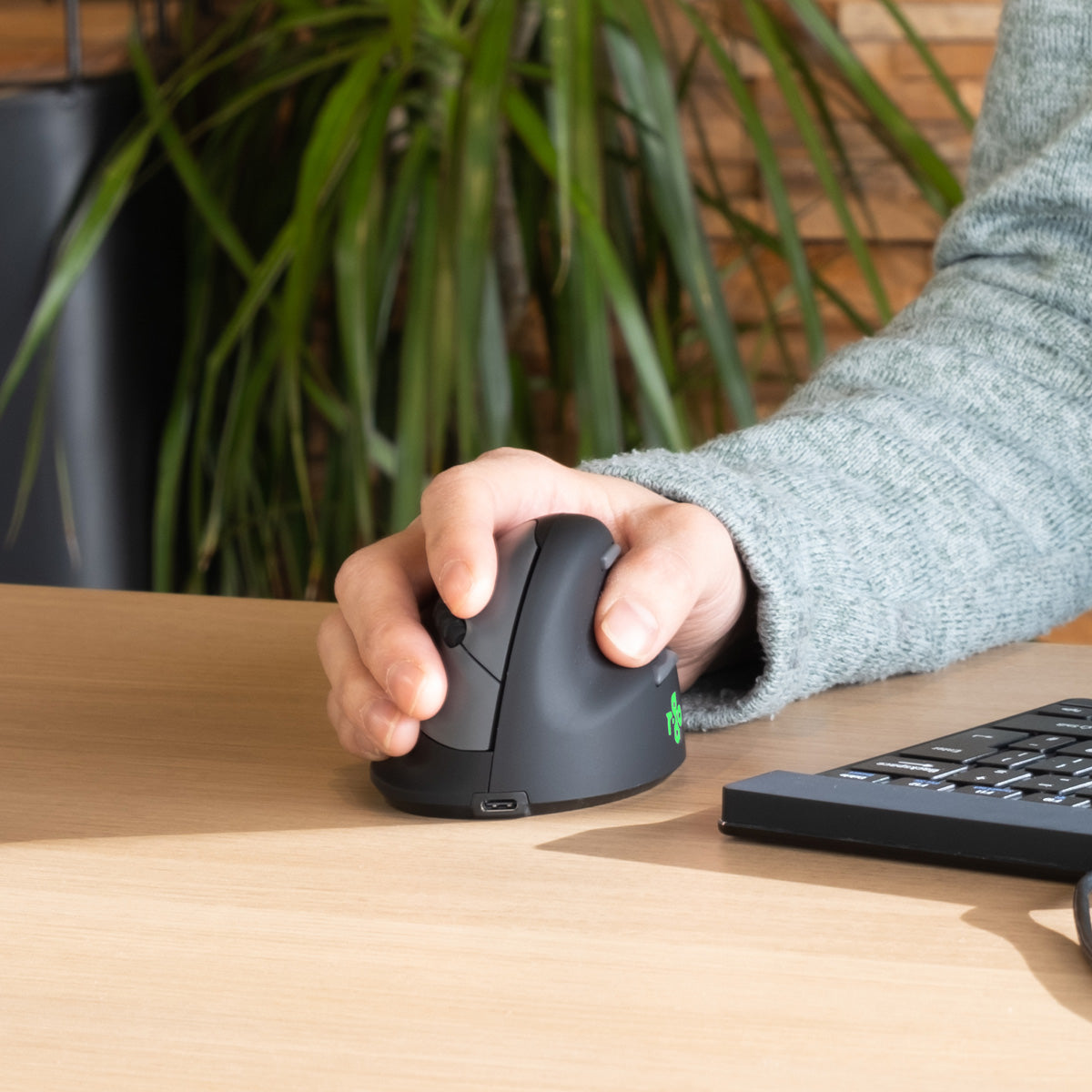 R-Go Tools Ergonomische Maus R-Go HE Break mit Pausensoftware, klein (Handlänge <165mm), Rechtshänder, verkabelt, schwarz