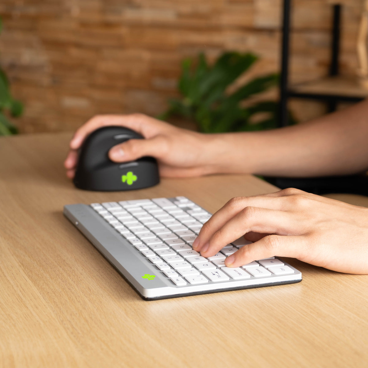 R-Go Tools Ergonomische Tastatur R-Go Compact Break, kompakte Tastatur mit Pausensoftware, QWERTZ (CH), Bluetooth, Weiß