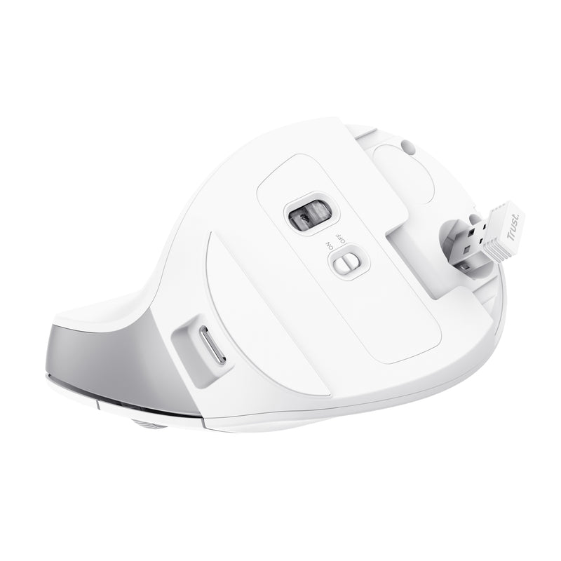 Trust Bayo II Maus Büro rechts RF Wireless Optisch 2400 DPI