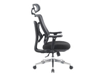 Equip 651054 Ergonomischer Bürostuhl, Nylon-Netzgewebe, 4D-Kopfstütze, 3D-Armlehnen, Synchronmechanik, Schwarz