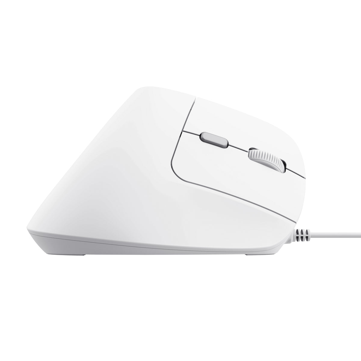 Trust Bayo II Maus Büro rechts USB Typ-A Optisch 2400 DPI