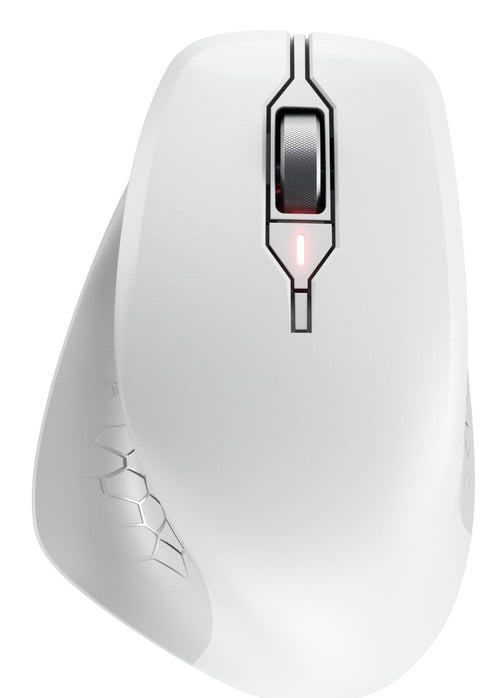 CHERRY JW-8550-0 Maus Universal rechts RF Wireless Optisch 4000 DPI